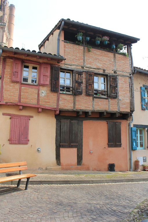 Le Quartier de Castelviel, le Musée Toulouse Lautrec, le cloitre Saint-Salvy