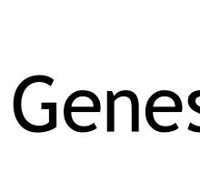Access to top level executives of the Company using Genesys Applications 