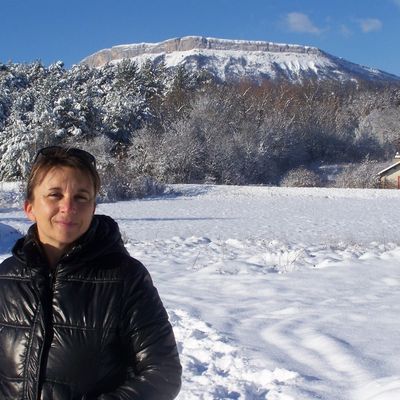 Bonne année 2015