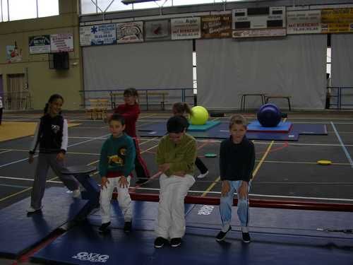 Les classes élémentaires se sont initiées au cirque au cours du 1er trimestre 2008.