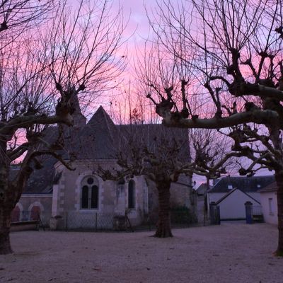 Les platanes de la cour du Musée de la vannerie à Villaine les Rochers.