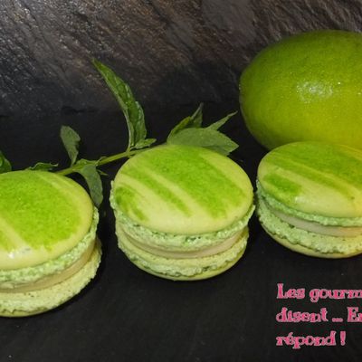 Macaron Mojito