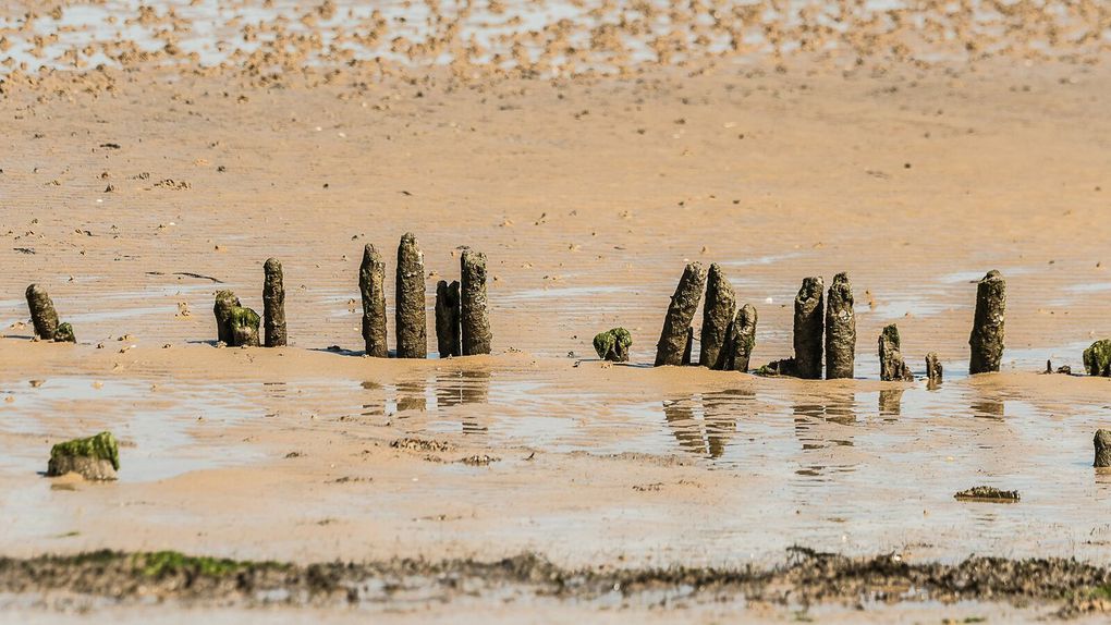 Le sentier littoral à proximité de la réserve ornithologique du Teich.