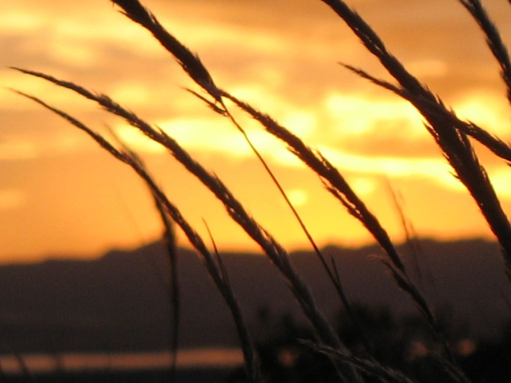 Lac Titicaca : îles Uros, île Taquille, île Amantani / Cusco / Chinchero / Machu Picchu / Pisac / Aguas calientes / Ollantaytambo / Arequipa / Colca / Nazca / Huacachina / Lima / Huaraz / Trujillo / Huanchaco