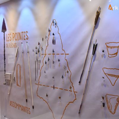 Dans les Musées : expositions permanentes et temporaires