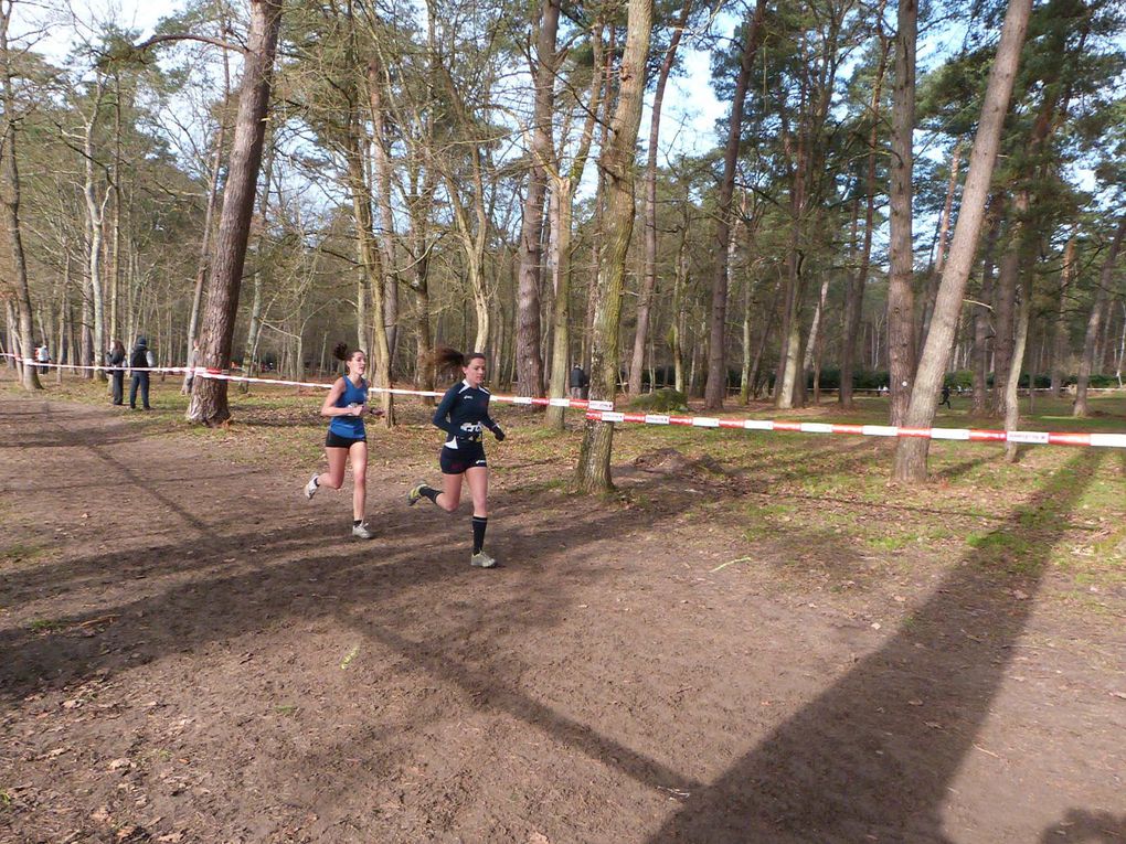 Inter-régionaux de cross, Fontainebleau, le 08/02/2015