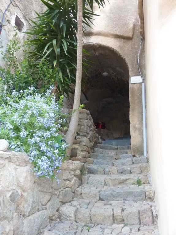 Corse, mercredi 9/09/2015  3è jour...