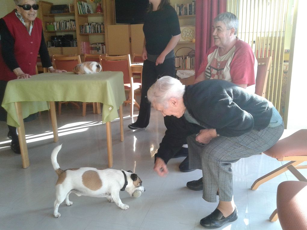 L'année 2017: photos en vrac (pétanque, rencontres inter-générationnelles, fête des voisins, sortie à Penhors, loisirs créatifs, bricolage, médiation animale, concerts et autres)