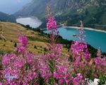 Ballade dans la Vanoise