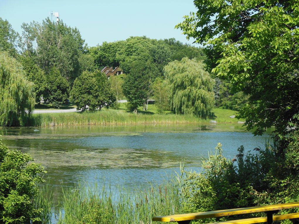 Quelques vues de mon voyage au Québec 
du bleu ,du vert ,des couleurs ,des souvenirs