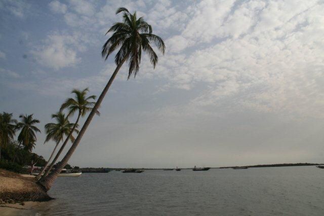 Album - casamance-senegal