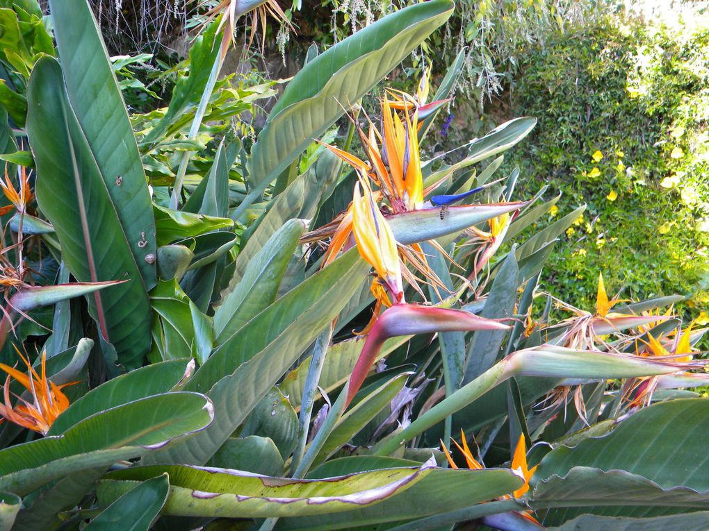 Le Parc Sainte-Claire