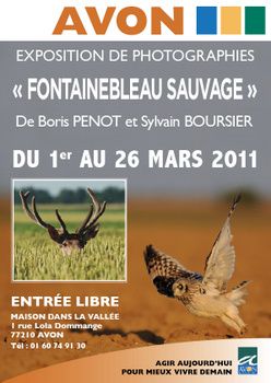 Exposition "Fontainebleau Sauvage" à Avon