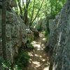 4ème jour, le Bois de Païolive puis retour par les Gorges de l'Ardèche