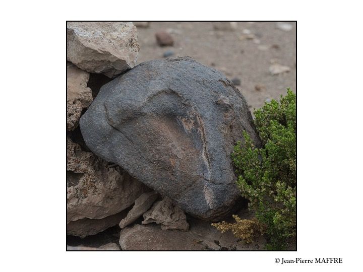 On rencontre fréquemment des rochers aux graphismes insolites qui évoquent des formes connues.