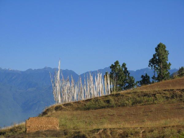 Album - 08Bhutan