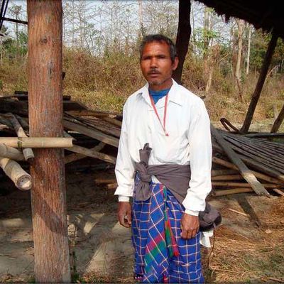 Les Indiens planteurs d'arbres : la forêt de Jadav Payeng sur un banc de sable...