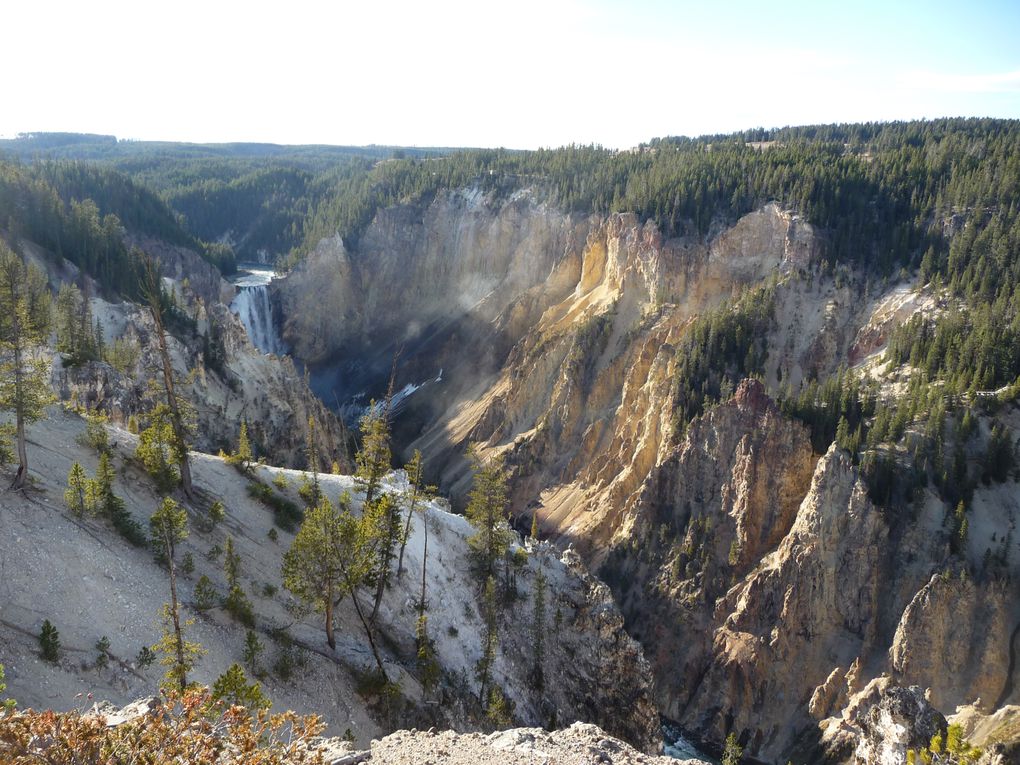 Album - 15.Yellowstone (Wyoming-octobre)