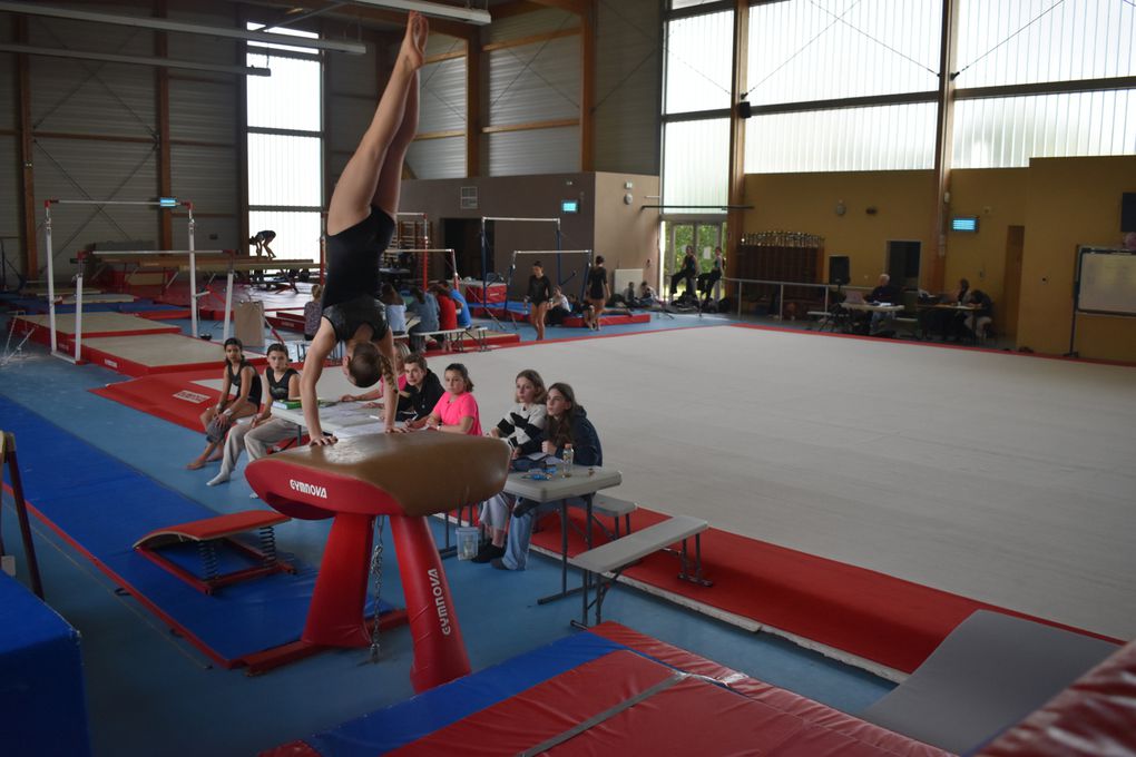 CHAMPIONNAT DEPARTEMENTAL GYMNASTIQUE 2023/2024