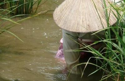 Ninh Binh