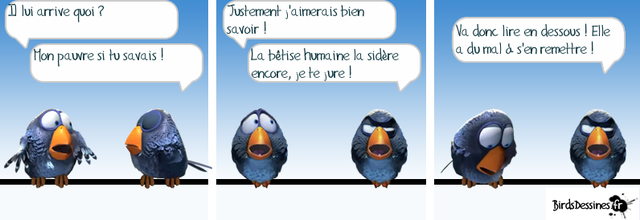 Les Zoziaux, Elle et le "Vol"