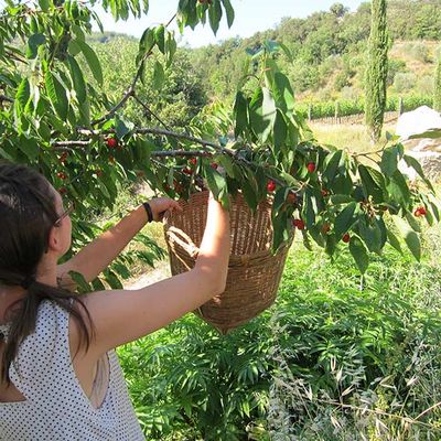 WWOOFING, le voyage éco-solidaire et gratuit expliqué dans une vidéo amusante