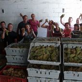 Le DOMAINE ORGÂMIC, vins du Lubéron SCEA créée par des copains - VIVRE AUTREMENT VOS LOISIRS avec Clodelle