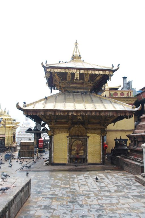 Bienvenue au Nepal.