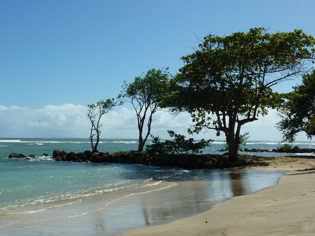 Séjour en Guadeloupe du 06 au 16/12/2009