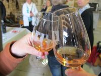Le vin gris - AOC Coteaux du Vendomois 