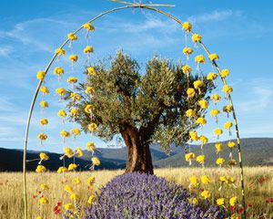 "L'Occitane en Provence"... en Espagne!