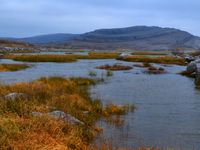 The Burren national parc .....