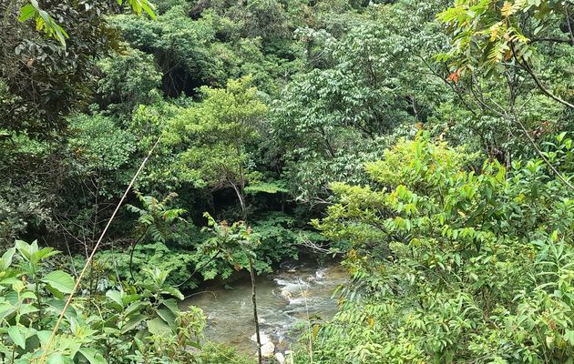 Région de San Rafael...Antioquia