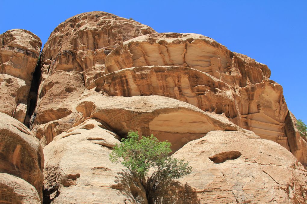 La Jordanie est un pays du Moyen-Orient entouré par la Syrie au nord, l'Irak au nord-est, l'Arabie saoudite à l'est et au sud, et enfin Israël et la Cisjordanie à l'ouest.