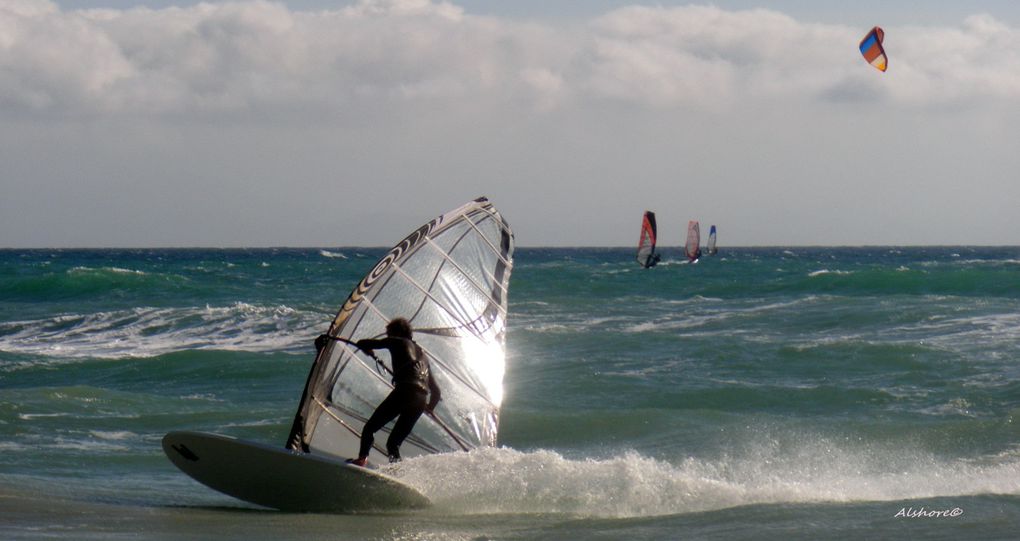 Album - Tarifa-Trip-2011