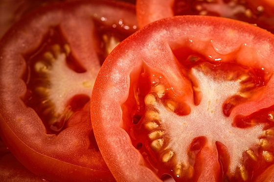 Tomates d'hiver ?