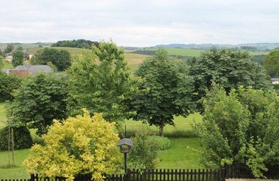 Mein 12.Blick im Juni  -  Sommer?