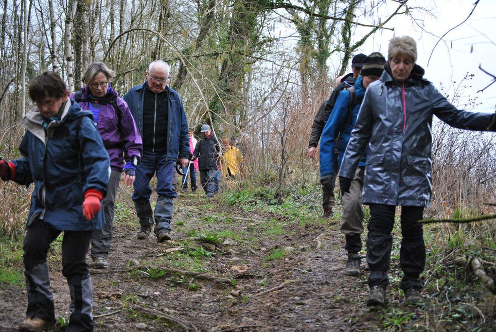 Galette des Rois sur le chemin de rando à MARCAY le 22 janvier 2018