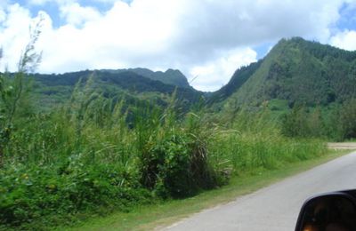 Petite ballade à Huahine