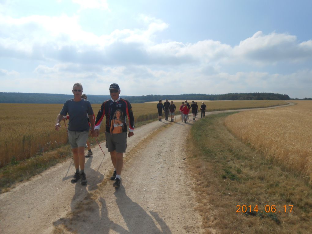 SORTIE : VESAIGNES sur MARNE &quot;le haut Marsois&quot;