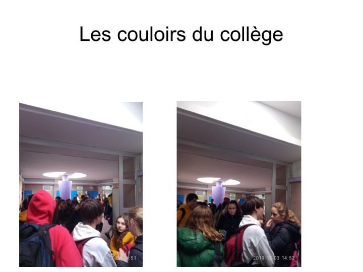 Travaux de Lisa V.