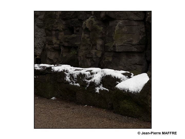 Dans le parc des Buttes Chaumont, à Paris, la neige crée des graphismes inattendus et révèle un autre monde d'une beauté idéalisée et éphémère.