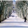 L'allée somptueuse du Jardin des Plantes.