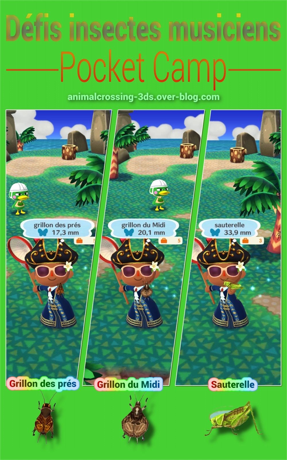 Défis insectes musiciens (Pocket Camp) Animal Crossing New Leaf