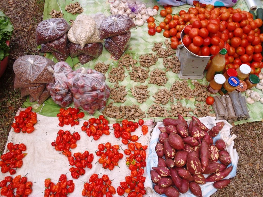 Album - Le-marche-de-Coconi