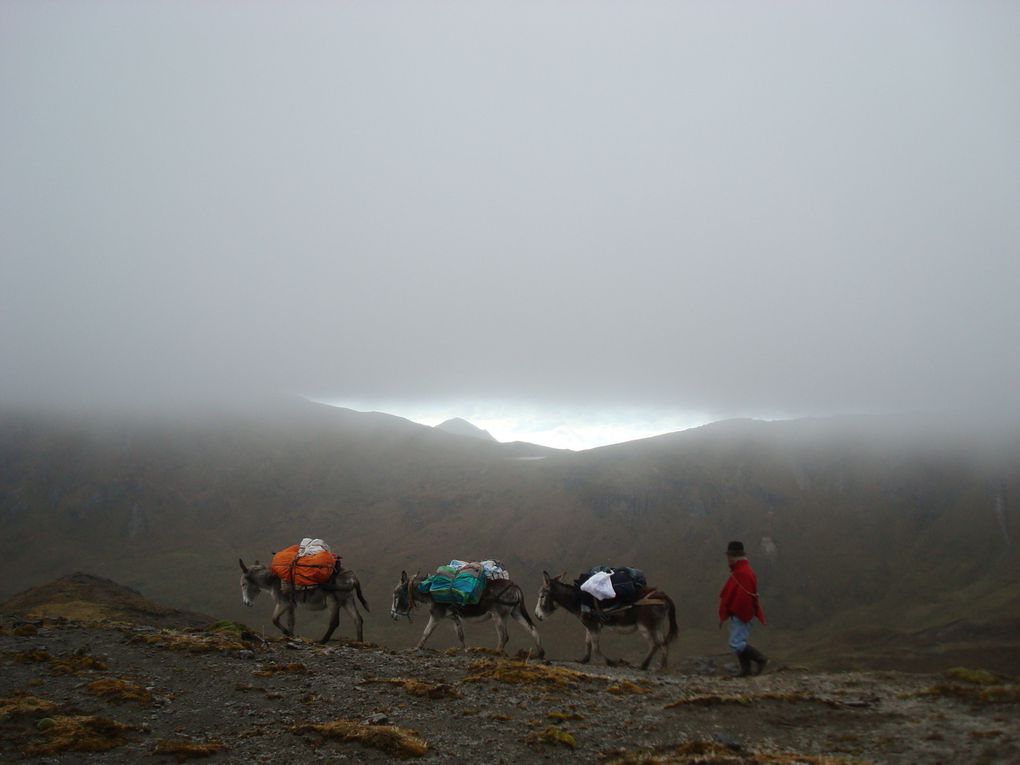 Album - Rando-sur-les-traces-des-Incas---el-camino-del-Inca