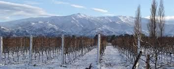 #Gamay Producers Central Otago Vineyards New Zealand