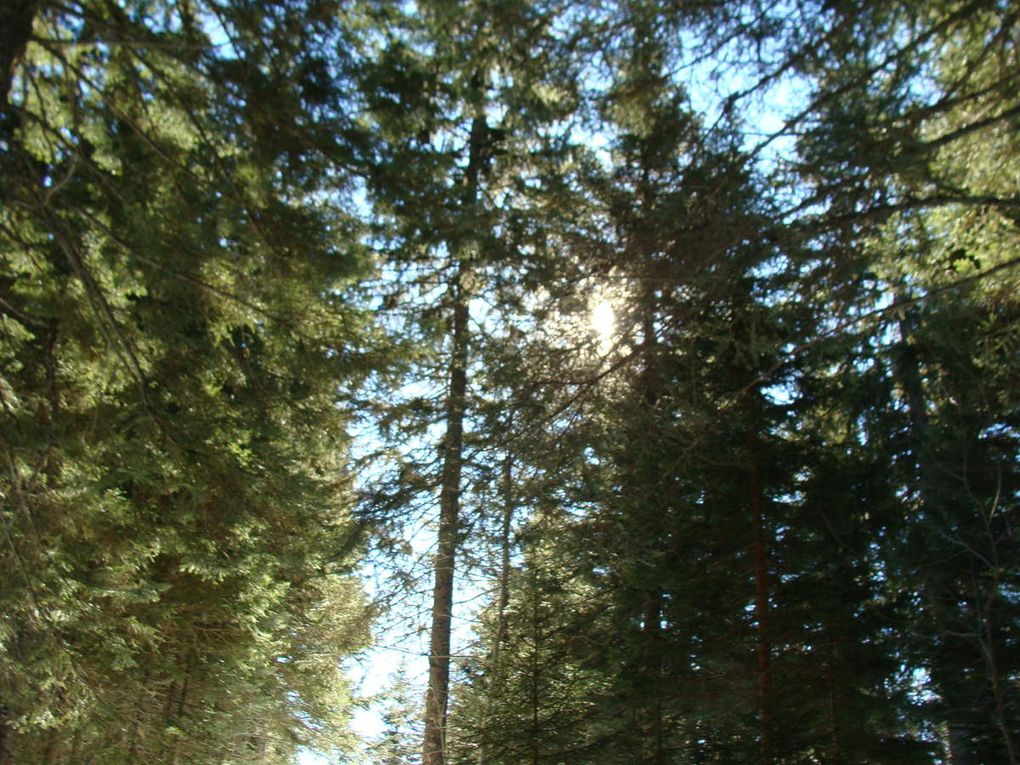 Raquettes du dimanche :Bois Barbu, Malaterre ,  Bellier