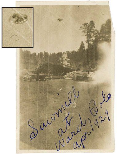 Photo : ovni pris en photo en avril 1929, à la scierie de Ward, dans le Colorado, USA.