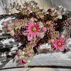 Sommerliche Strick- und Blogflaute